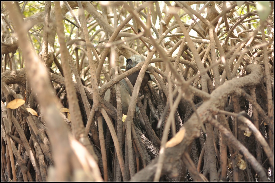 Tu le vois, toi, le pêcheur?