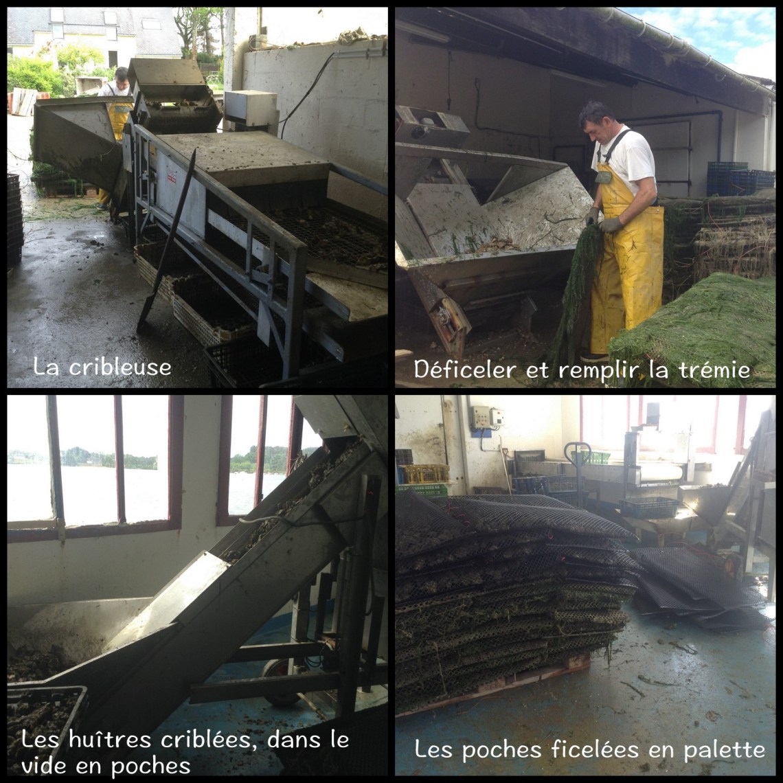 1-Récemment mis à jour4