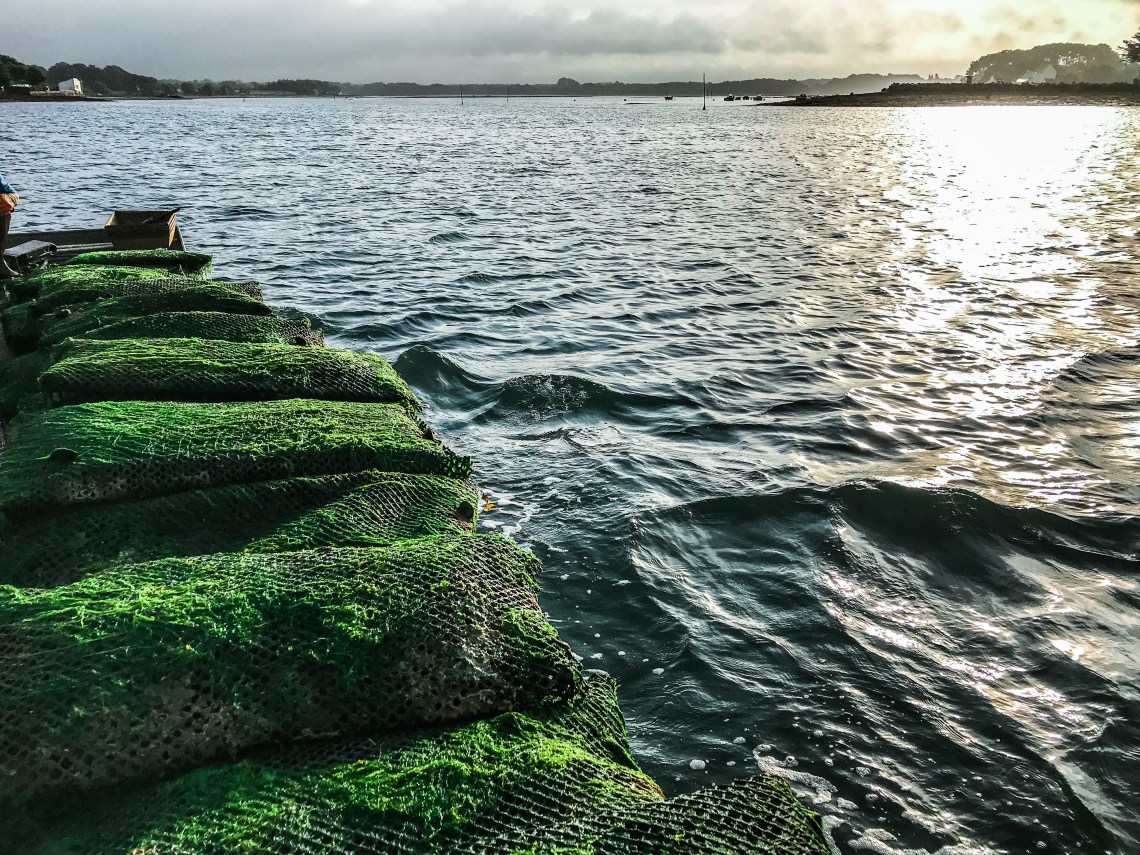 194A4900-66EB-4E97-88A5-552E577EB874