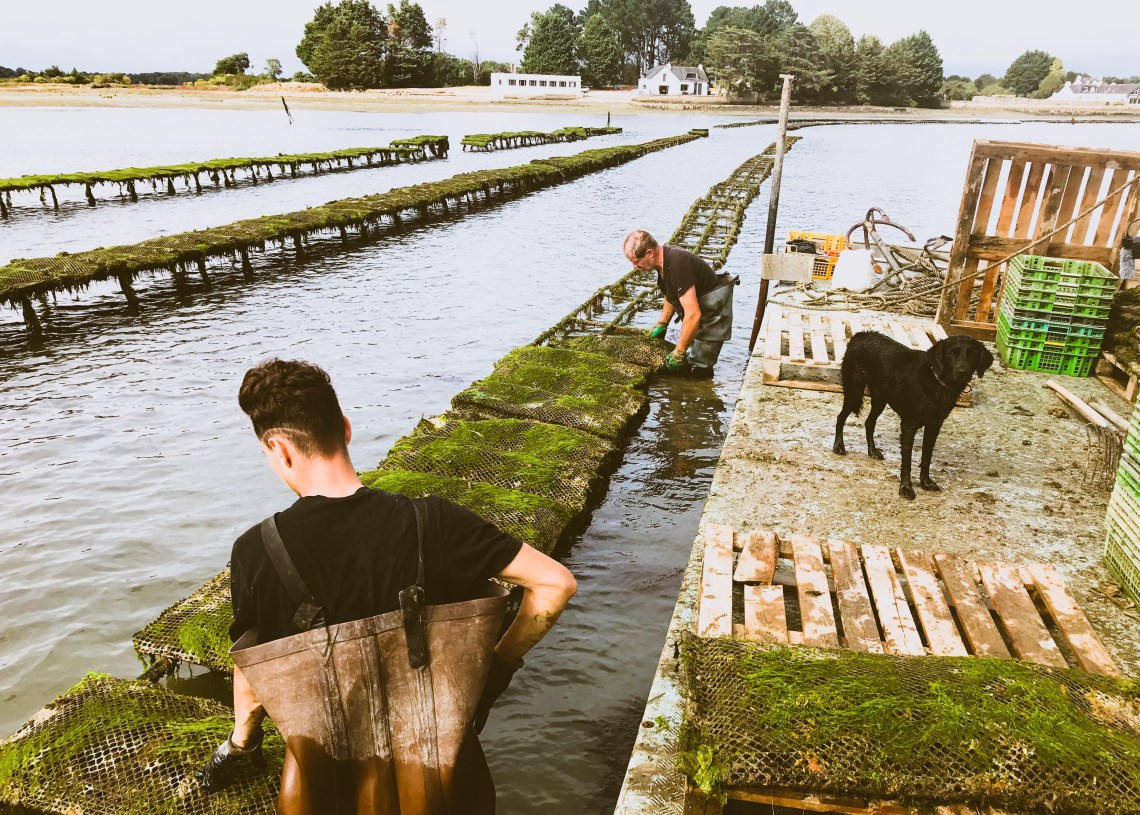 31106D4D-7FCD-4DB6-80C2-58E0A26B6708