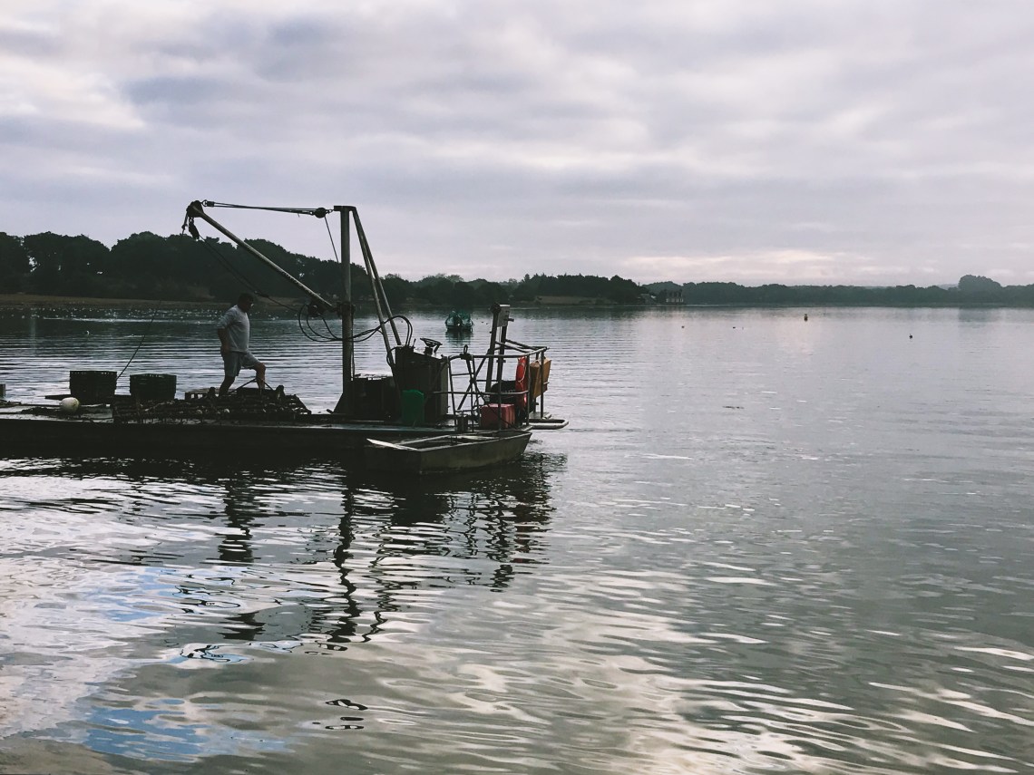 604BD6BB-1F52-46C3-BBA3-CCC50793A151