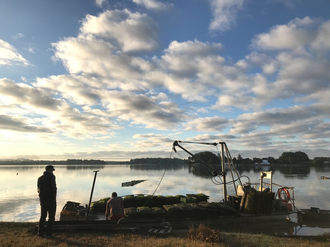 D9ED8409-77F2-4010-A6C2-0A7CC0E8A53B